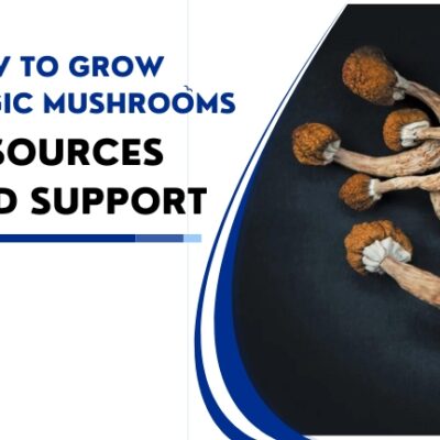 Magic Mushrooms With Ease