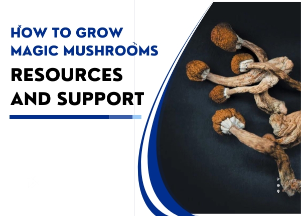 Magic Mushrooms With Ease
