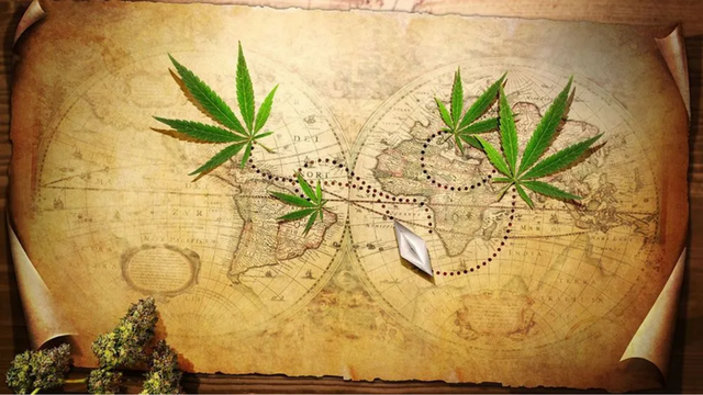 A Brief History Of Cannabis