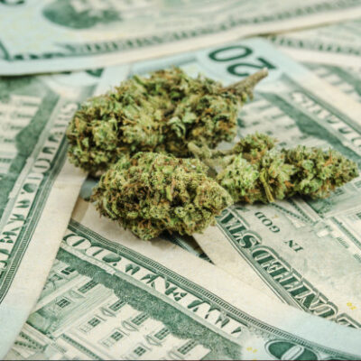 Best Cannabis Investments