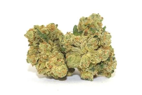 Florida Kush Strain is Your Tropical Escape from Stress